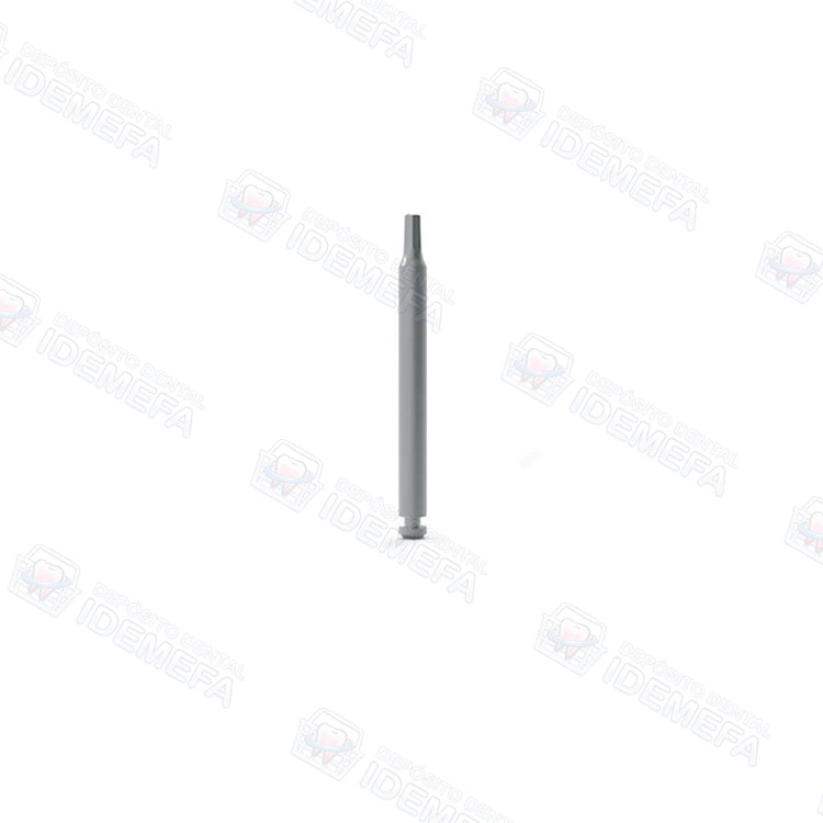 Destornillador para Pieza de Mano (Motor Mount Driver For Handpiece) - Dental Solutions (DS)