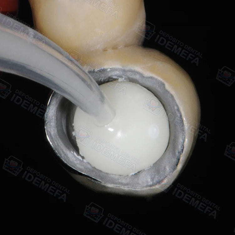 GC Fuji Plus - Sistema Polvo/Líquido