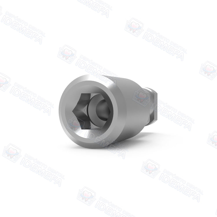 Análogo de Implante (Implant Analog) - Dental Solutions (DS)