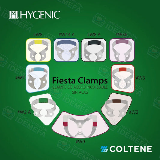 Kit de Grapas Fiesta Sin Aleta