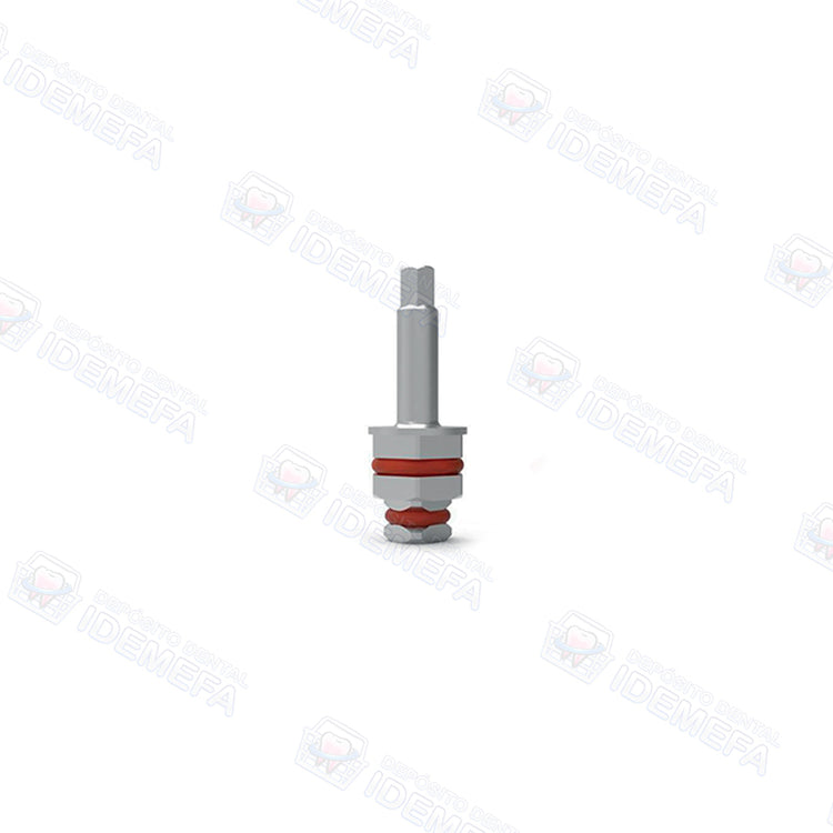 Destornillador Hexagonal para Llave Carraca (Hex Driver For Ratchet 6.35) - Dental Solutions (DS)