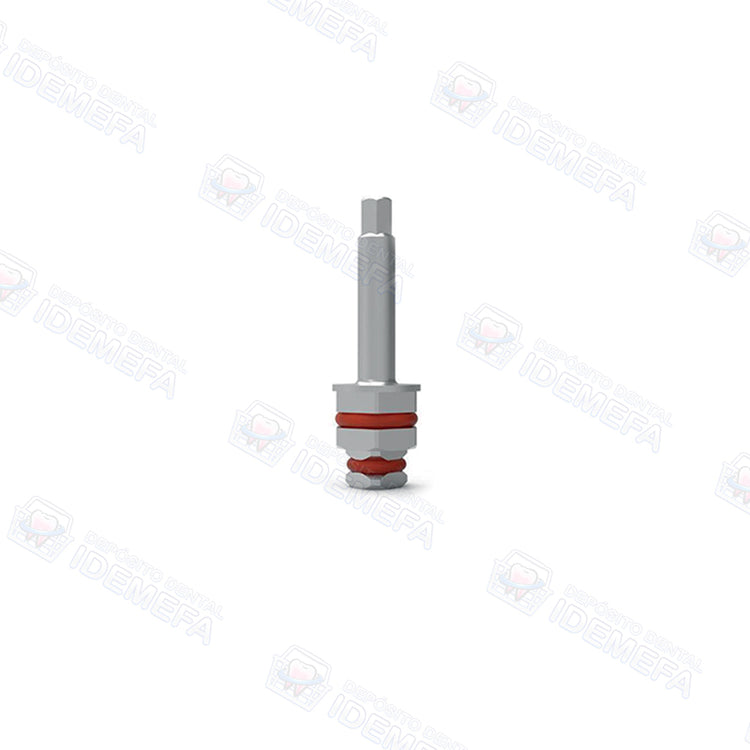 Destornillador Hexagonal para Llave Carraca (Hex Driver For Ratchet 6.35) - Dental Solutions (DS)