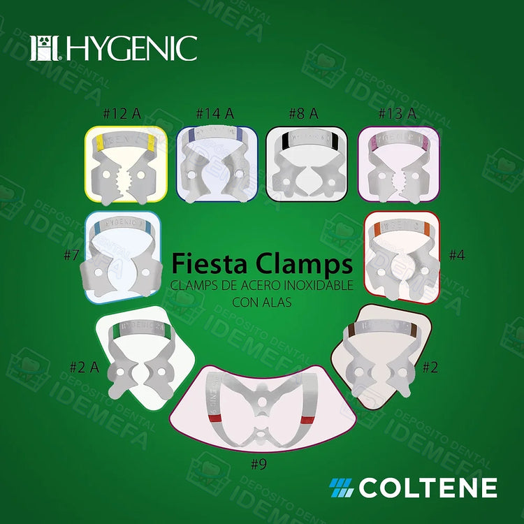 Kit de Grapas Fiesta Tradicional