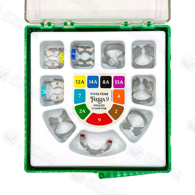 Kit de Grapas Fiesta Tradicional