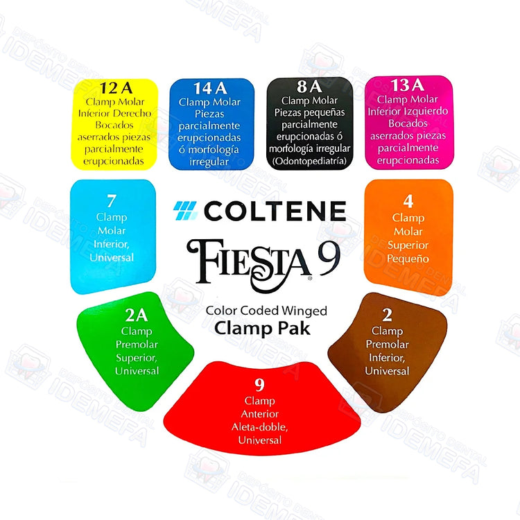 Kit de Grapas Fiesta Tradicional