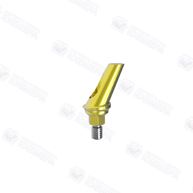 Muñón Angulado con Hombro (Angled Abutment - Concave System) - Dental Solutions (DS)