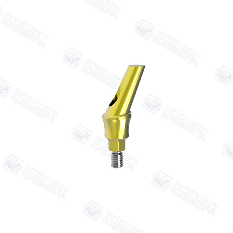 Muñón Angulado con Hombro (Angled Abutment - Concave System) - Dental Solutions (DS)
