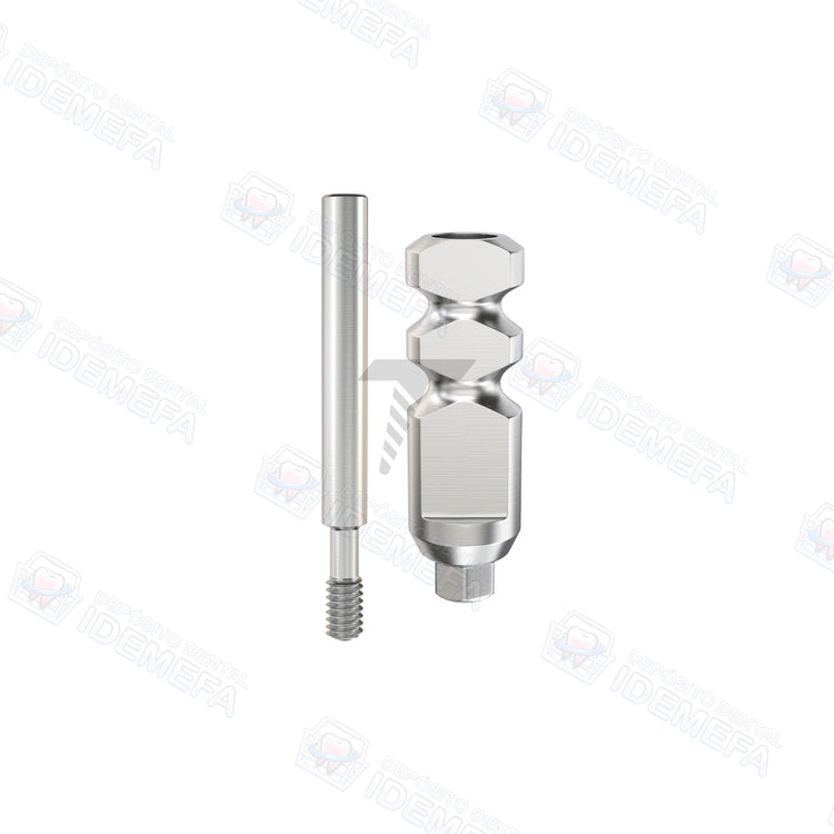 Transfer Abierto Regular by GDT®
