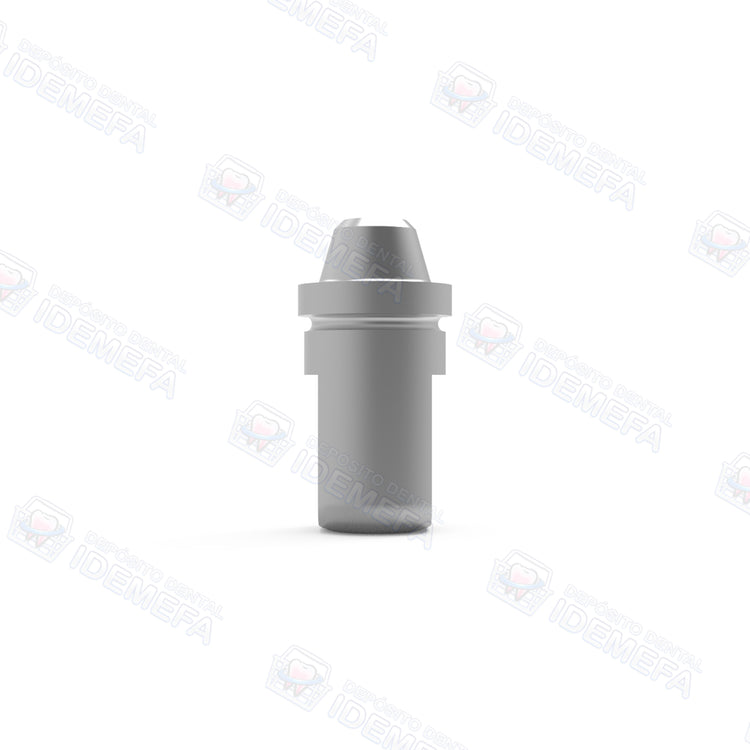 Accesorios CAD/CAM (Análogos Digitales y Ti-Base para Multi-Unit) - Dental Solutions (DS)