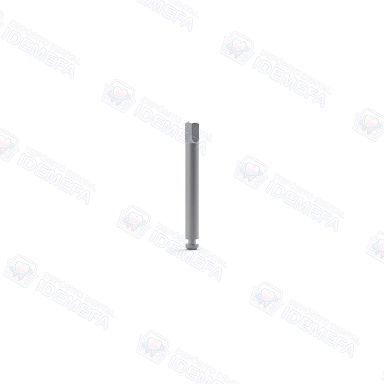 Destornillador para Pieza de Mano (Motor Mount Driver For Handpiece) - Dental Solutions (DS)