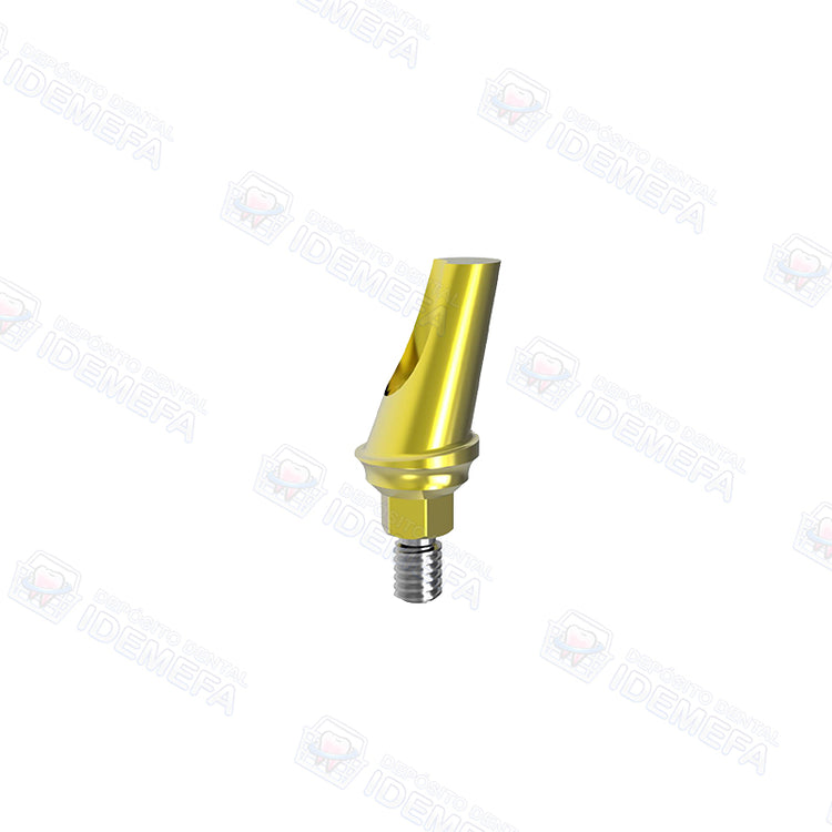 Muñón Angulado con Hombro (Angled Abutment - Concave System) - Dental Solutions (DS)