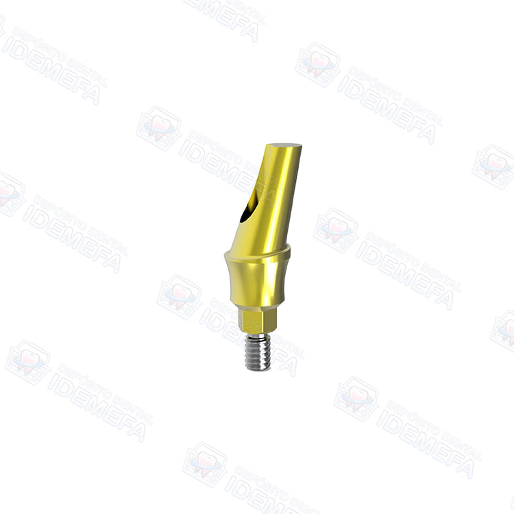 Muñón Angulado con Hombro (Angled Abutment - Concave System) - Dental Solutions (DS)