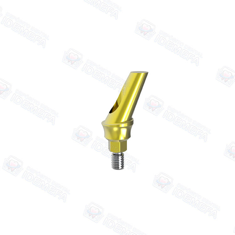 Muñón Angulado con Hombro (Angled Abutment - Concave System) - Dental Solutions (DS)