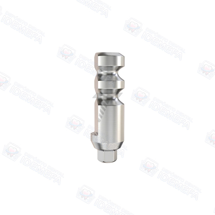 Transfer Abierto Regular by GDT®