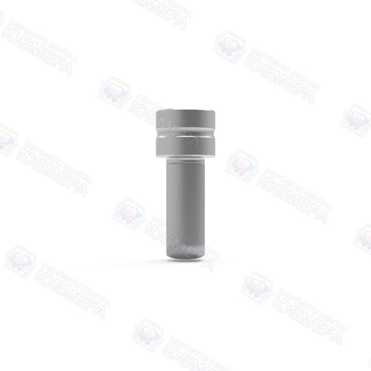 Accesorios CAD/CAM (Análogos Digitales y Ti-Base para Multi-Unit) - Dental Solutions (DS)